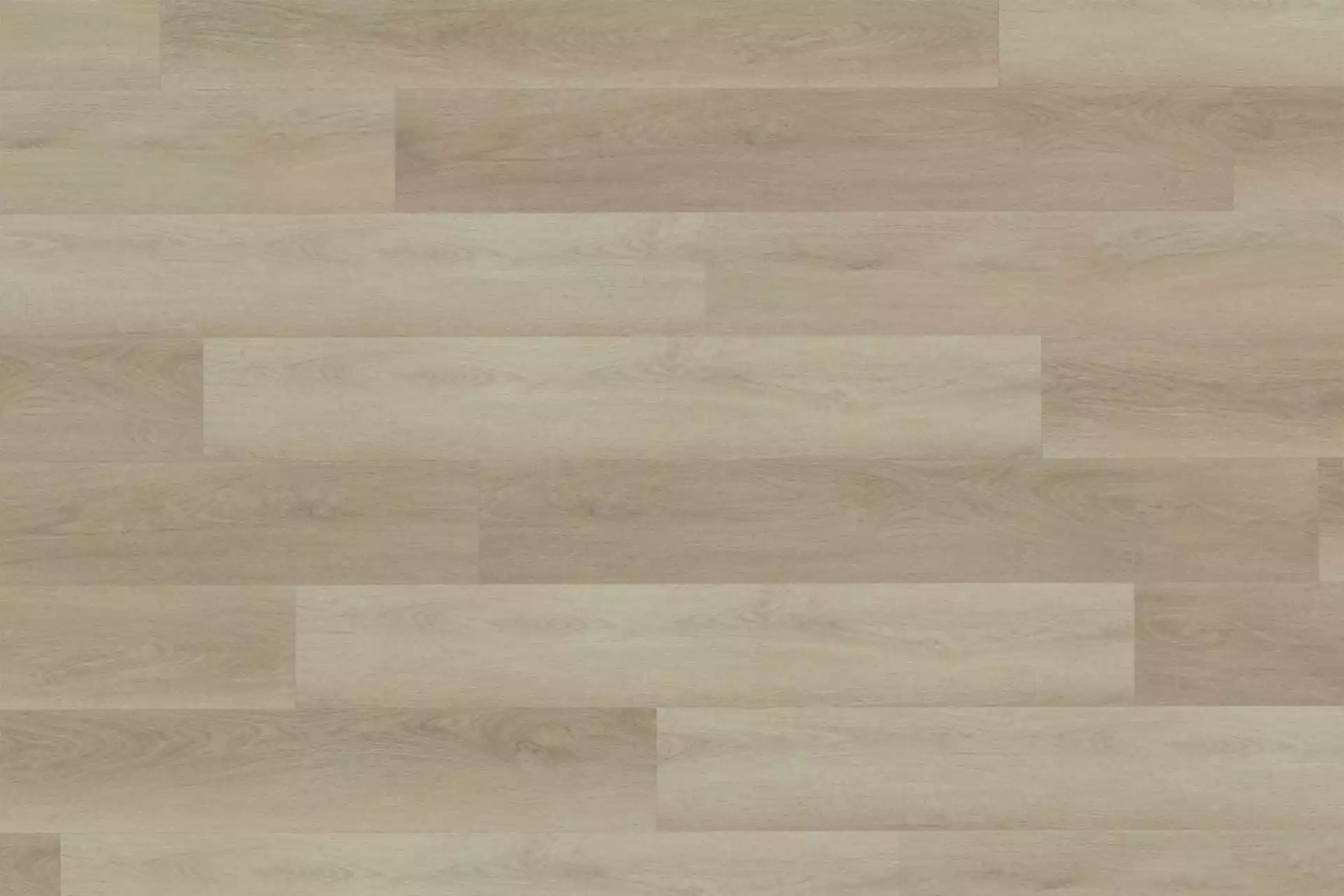 Fresh Oak Light Greige XL - Image 1