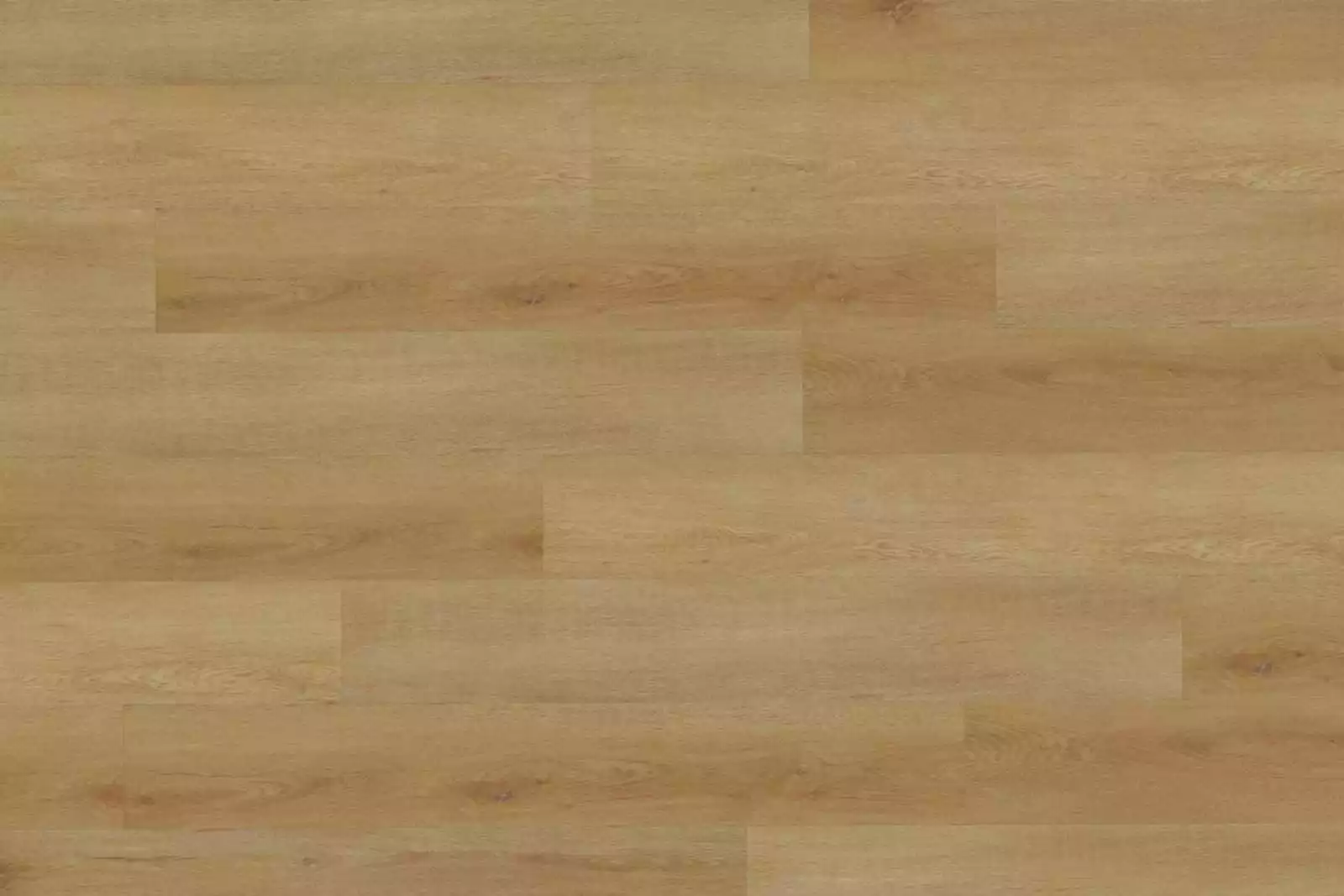 Delicate Oak Amber XL