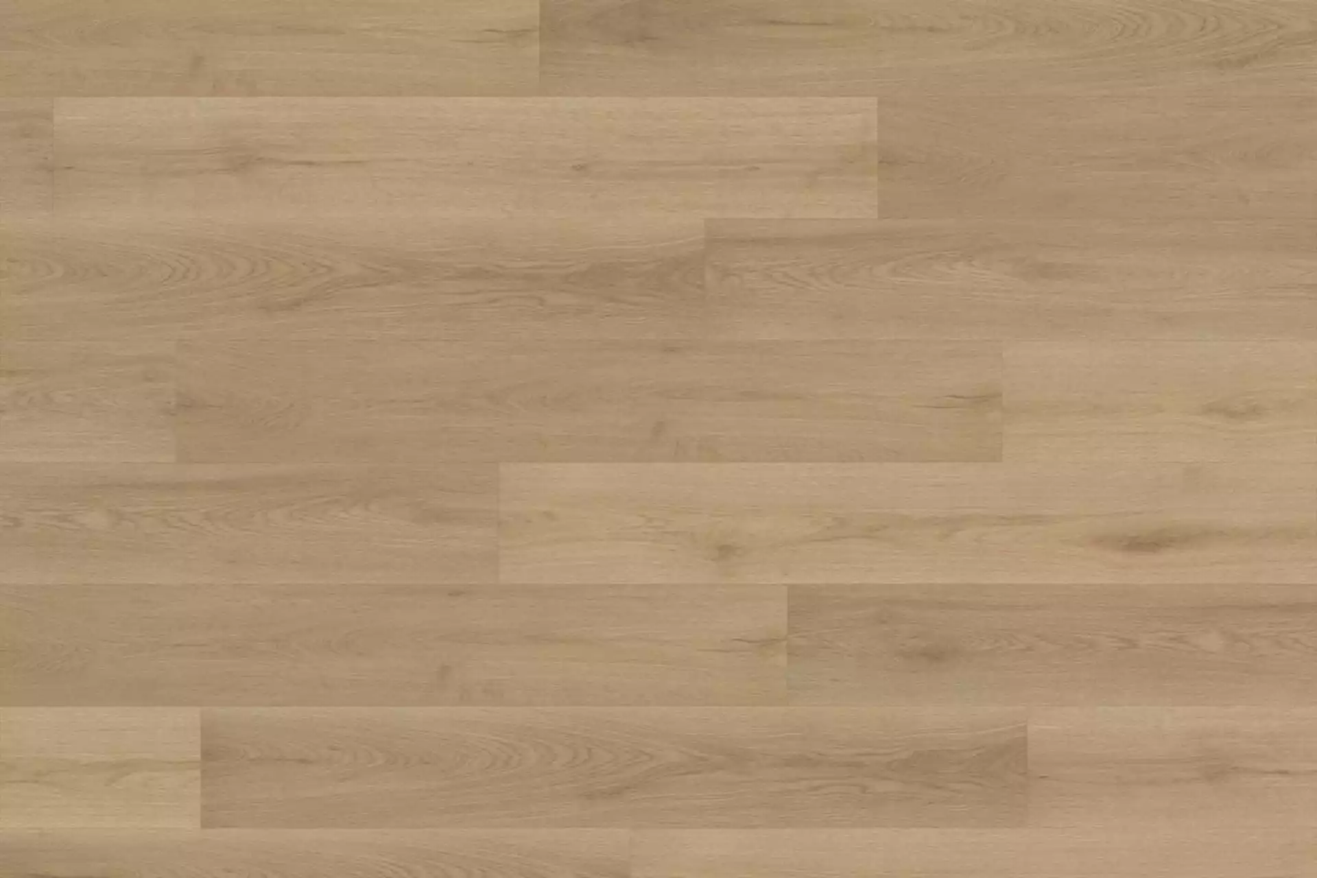 Nordic Oak Light Natural XL - Image 1