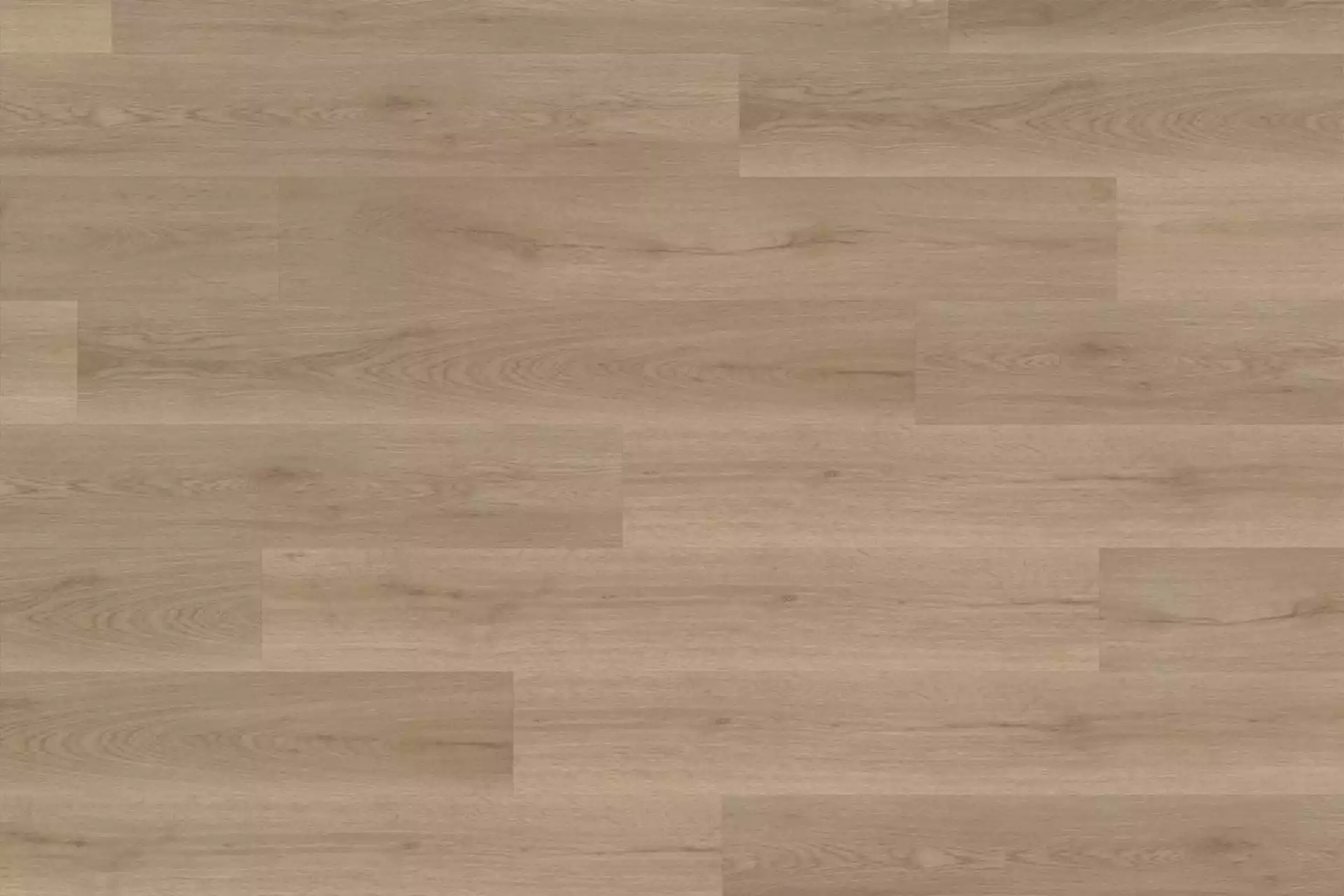 Nordic Oak Greige XL - Image 1