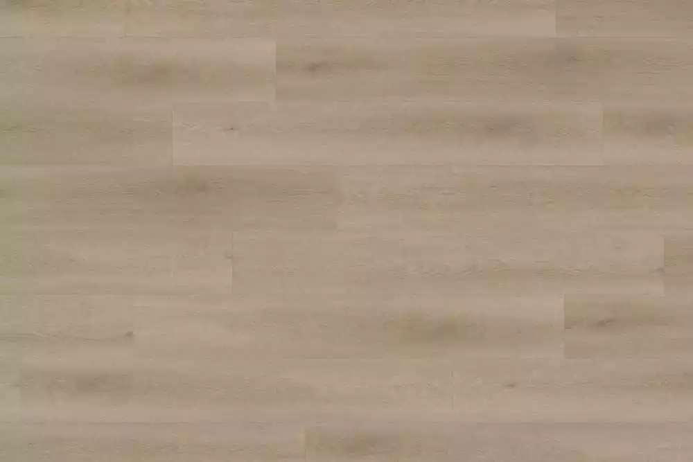 Solide Raw Oak Light Natural XL