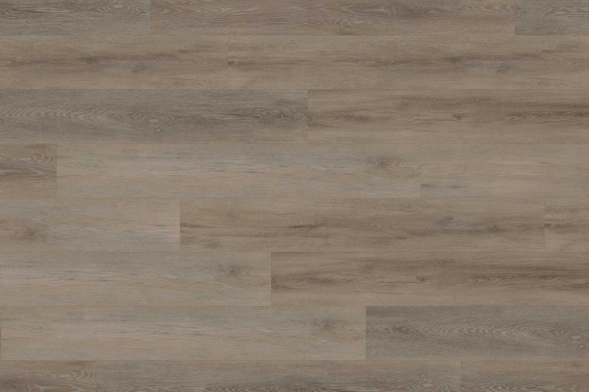 Rigid Old Oak Light Beige XXL - Image 5