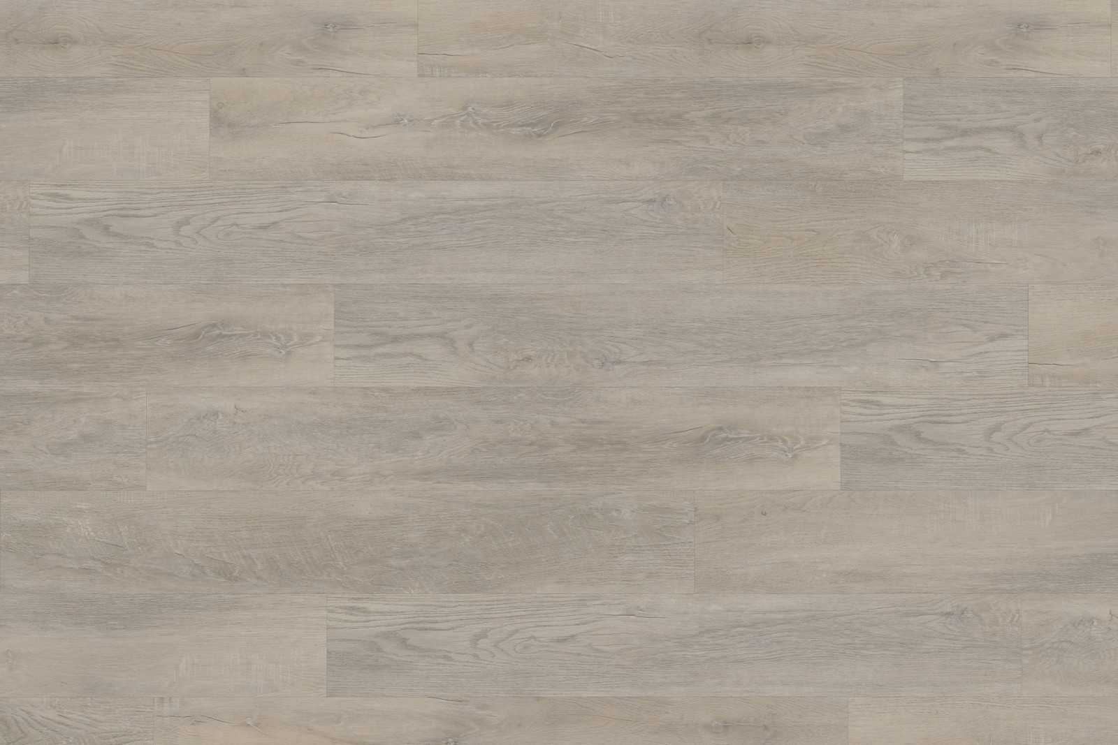 Rigid Old Oak Light Beige XXL - Image 4