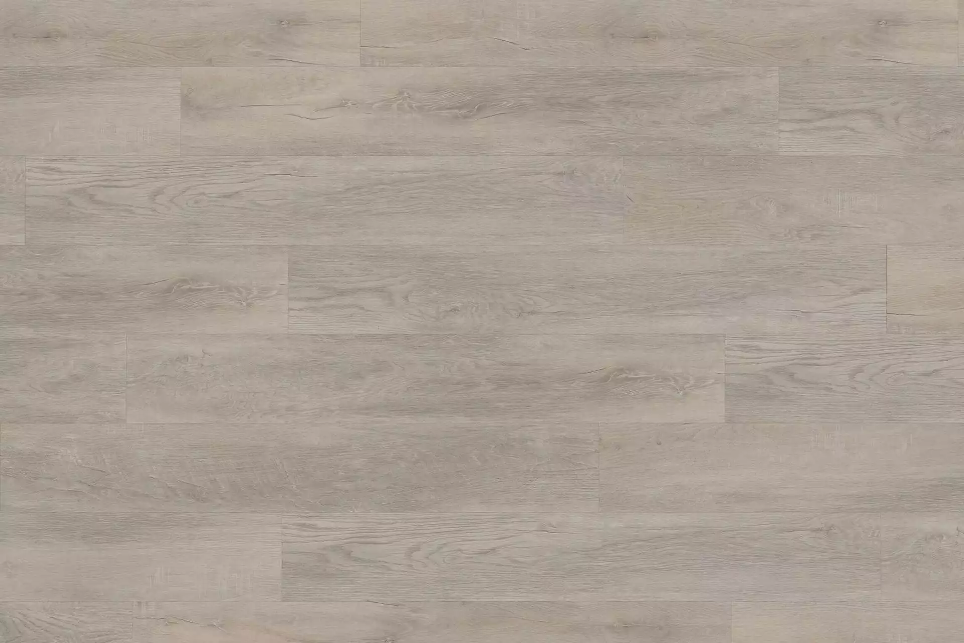 Rigid Old Oak Light Beige XXL - Image 11