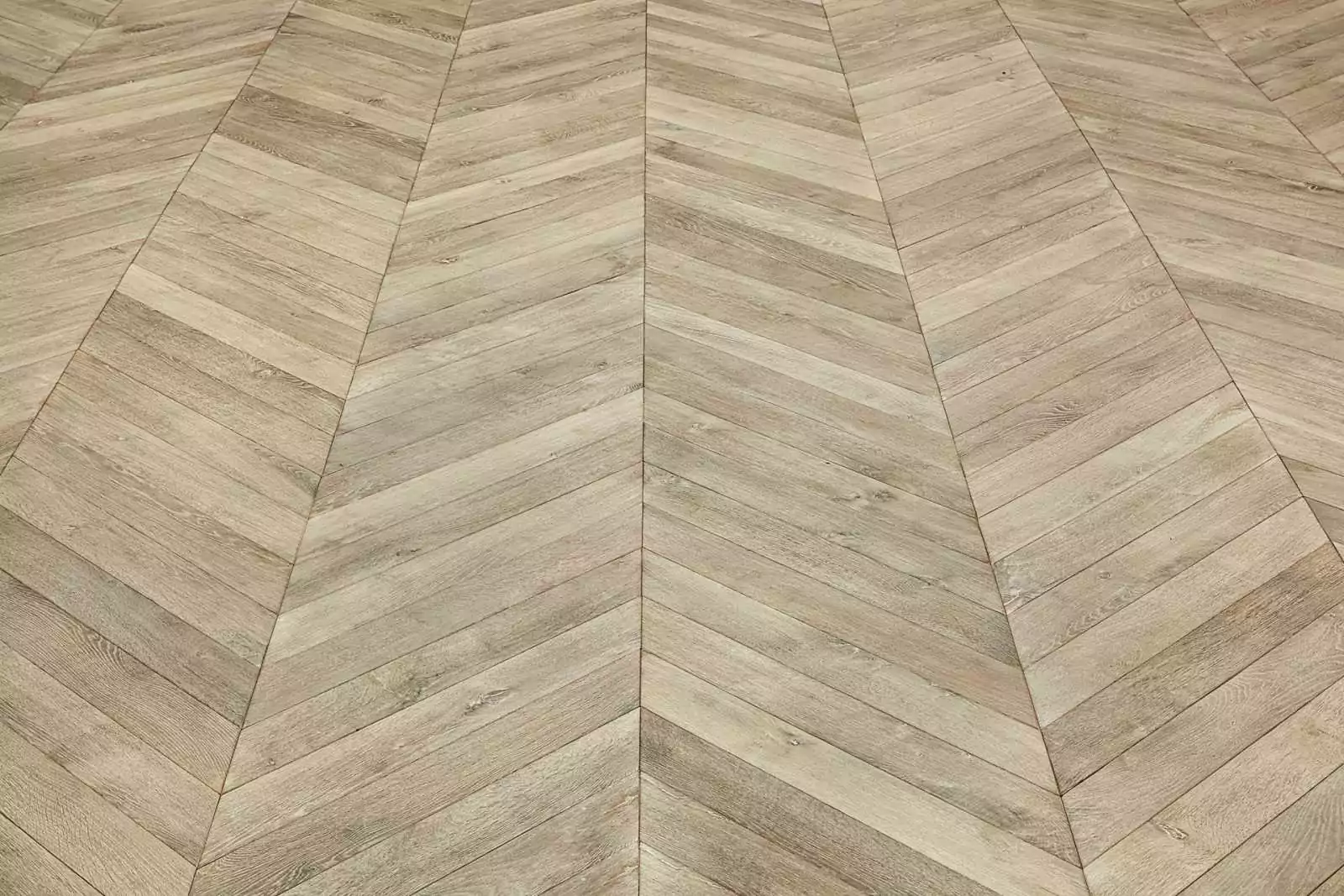CÉLESTE CHEVRON - Image 5