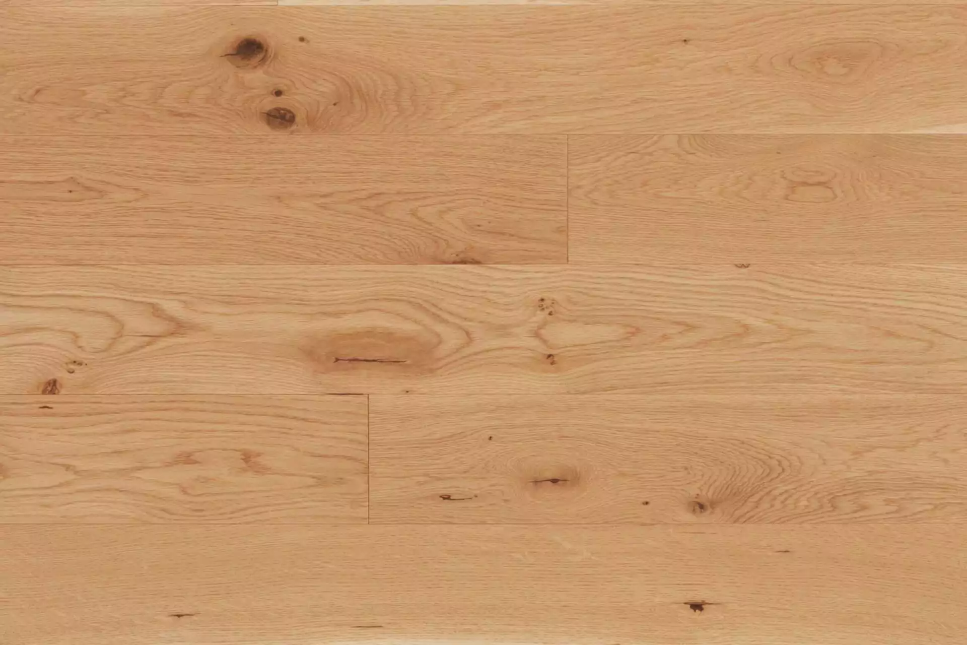 TERRA RUSTIC OAK - Image 2