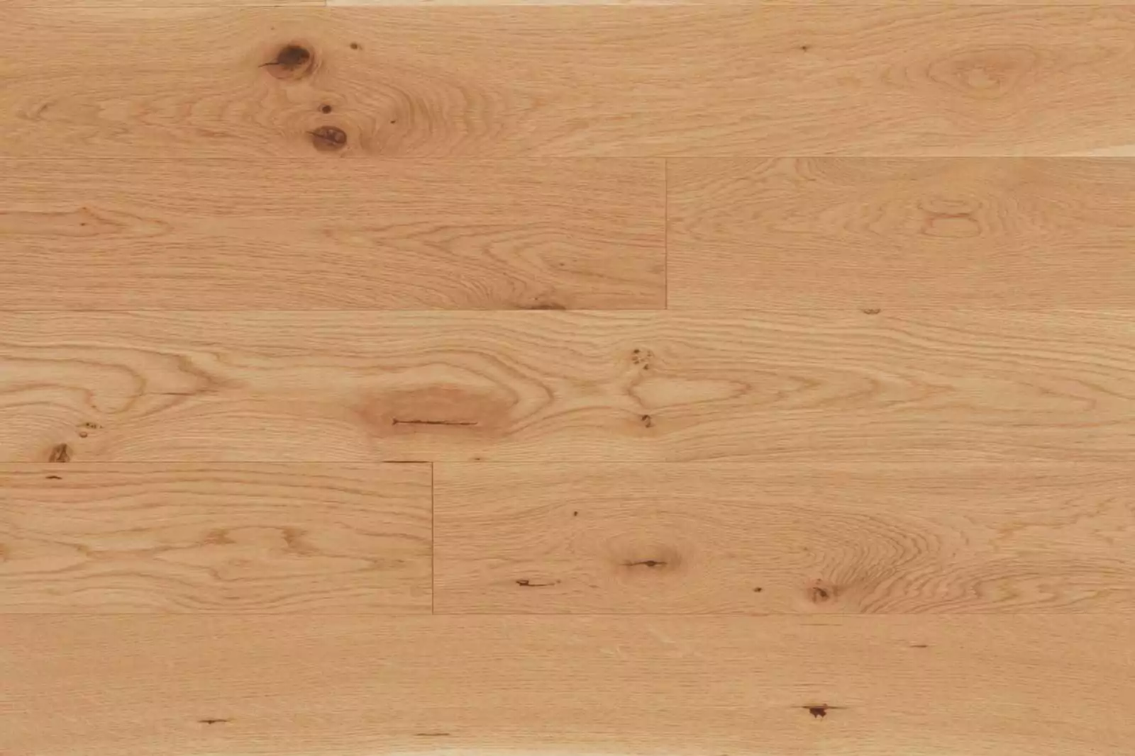 TERRA RUSTIC OAK - Image 2