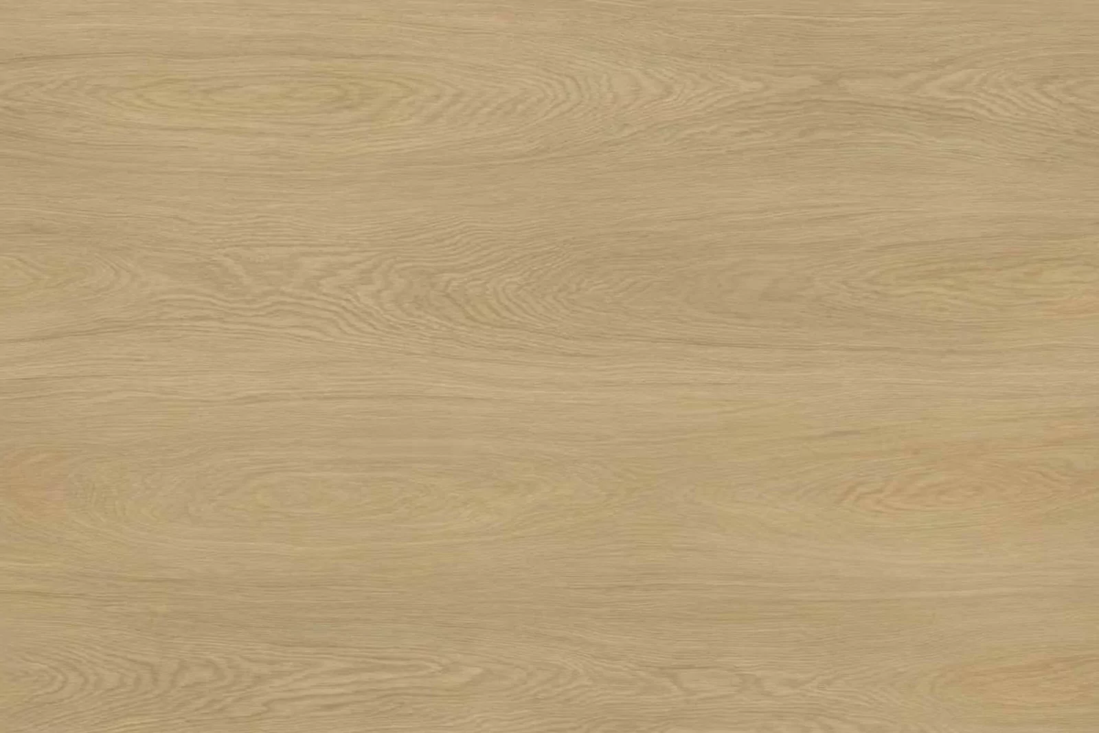copy of VILLAFLOOR ORIGINS - CASSONADE - Image 3